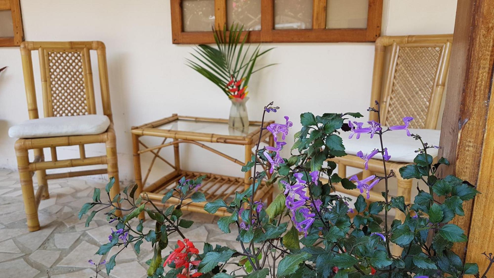 Yucca Beachfront Hotel Puerto Viejo de Talamanca المظهر الخارجي الصورة