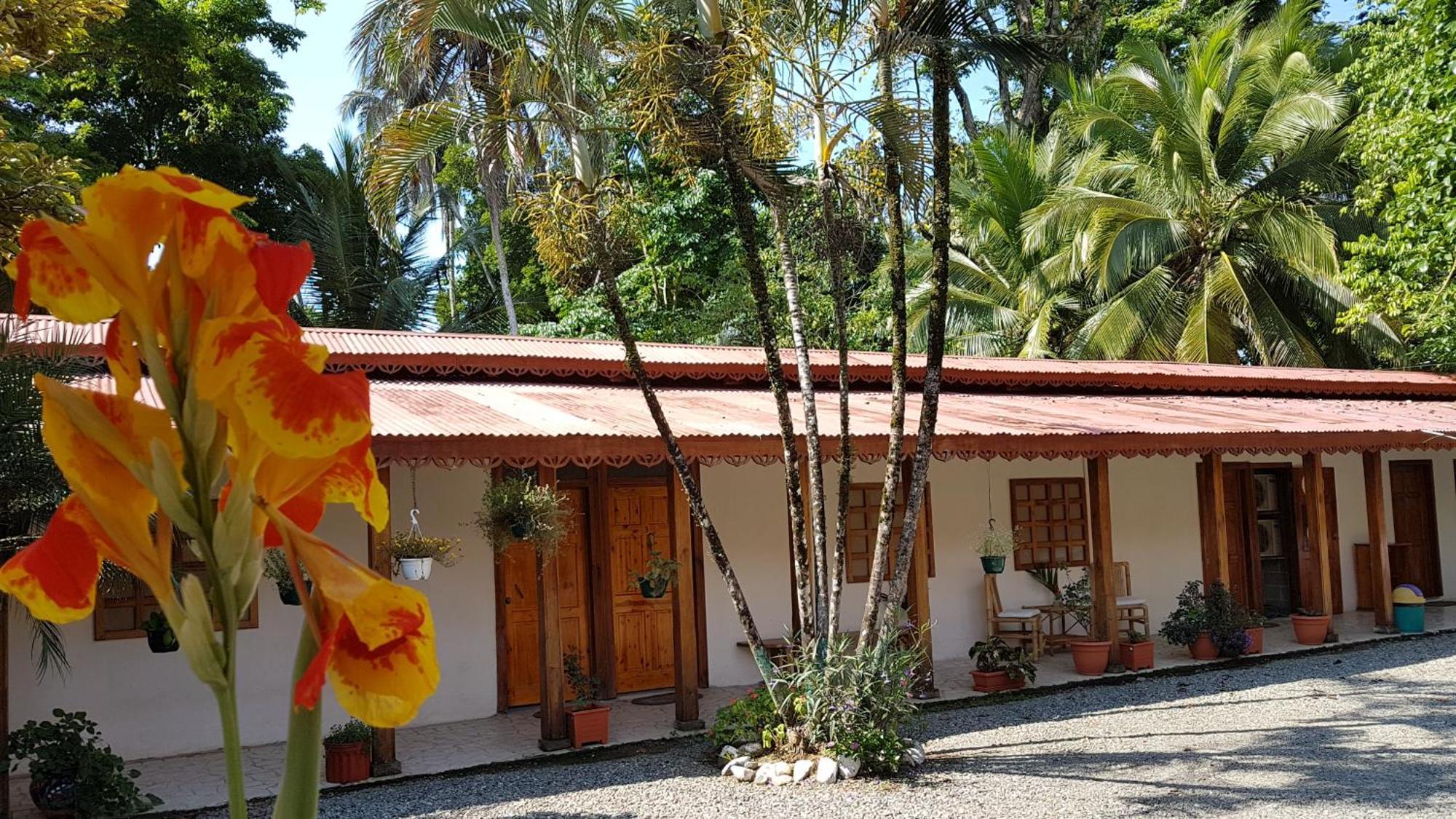 Yucca Beachfront Hotel Puerto Viejo de Talamanca المظهر الخارجي الصورة