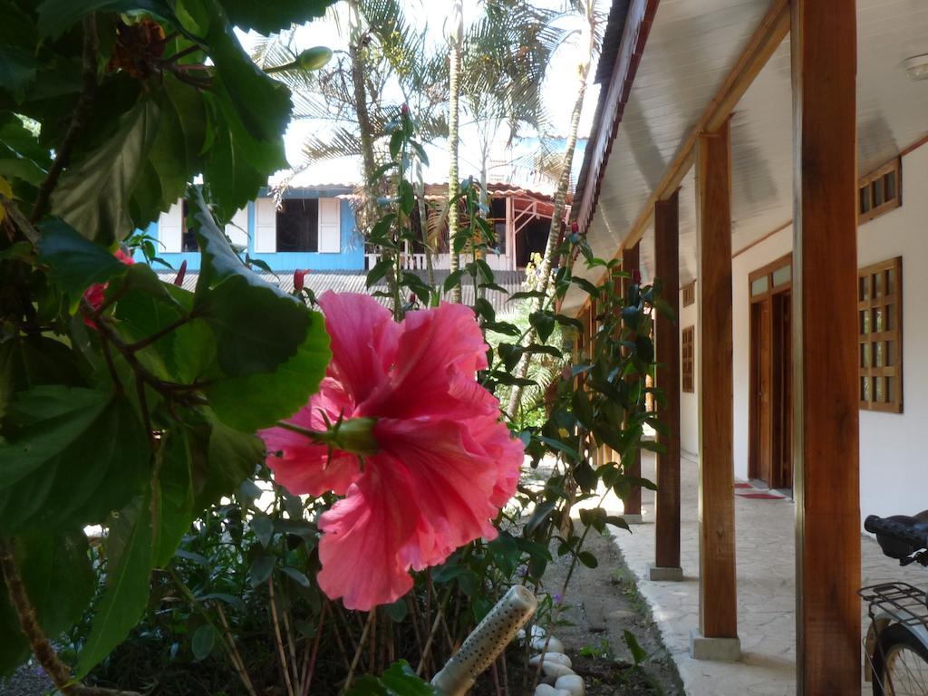 Yucca Beachfront Hotel Puerto Viejo de Talamanca المظهر الخارجي الصورة