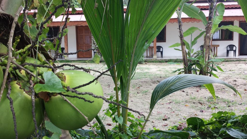 Yucca Beachfront Hotel Puerto Viejo de Talamanca المظهر الخارجي الصورة